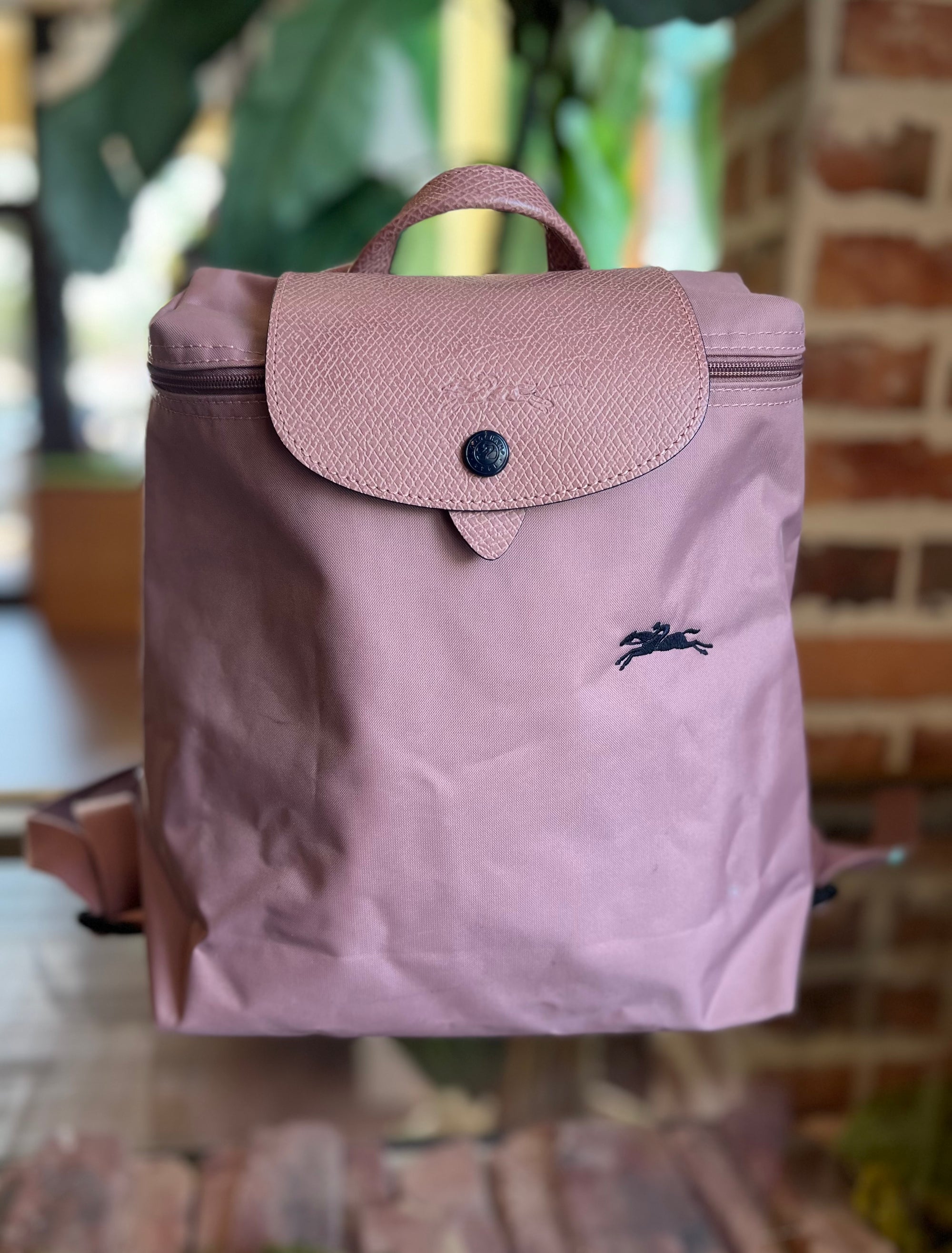 LONGCHAMP Pink Le Pliage Backpack
