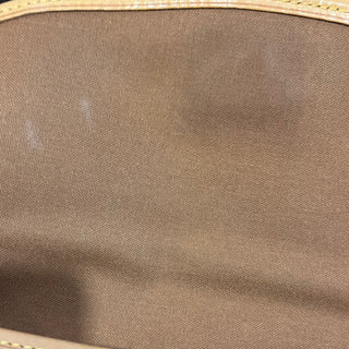 LOUIS VUITTON Diane Vintage Brown Monogram Canvas Crossbody Bag