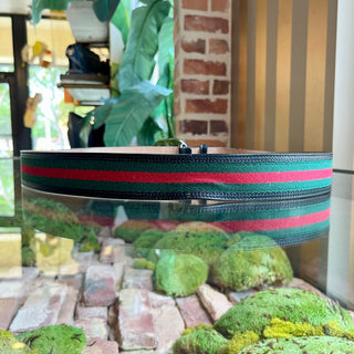 GUCCI Interlocking G Green & Red Web Stripe Canvas Belt SZ105/42(14US)