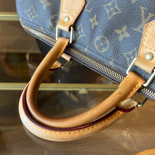 LOUIS VUITTON Speedy 30 Monogram