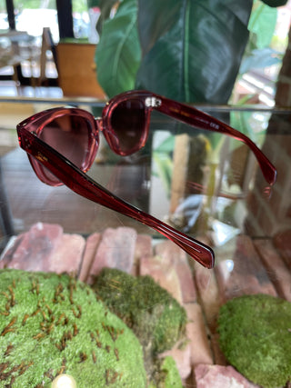 CELINE CL4002UN Burgundy Sunglasses TS3480