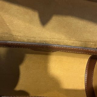 LOUIS VUITTON Papillon Trunk Monogram Coated Canvas Bag