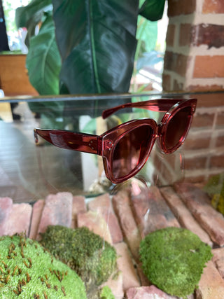 CELINE CL4002UN Burgundy Sunglasses TS3480