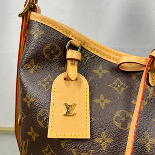 LOUIS VUITTON CarryAll PM Monogram