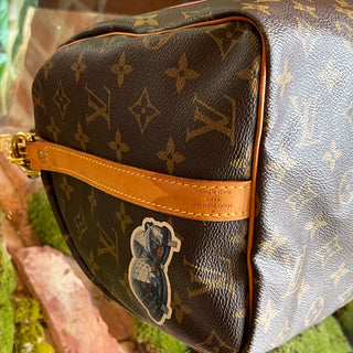 LOUIS VUITTON Monogram World Tour Speedy 30 Bandouliere
