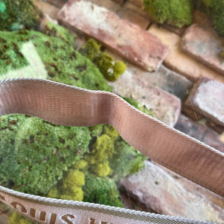 LOUIS VUITTON Pochette Accessories Pink Monogram Canvas Crossbody Bag