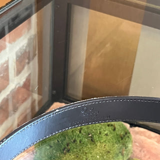 GUCCI Brown Leather Belt 95/38(10US)