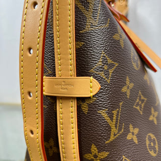 LOUIS VUITTON CarryAll PM Monogram