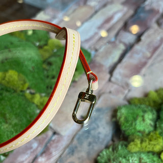 LOUIS VUITTON Vachetta Leather Pochette Accessories Strap