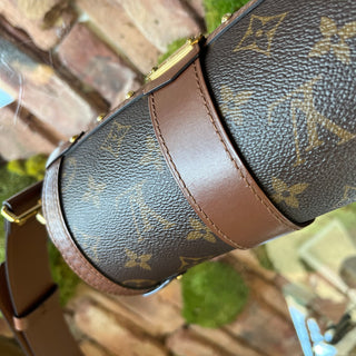 LOUIS VUITTON Papillon Trunk Monogram Coated Canvas Bag