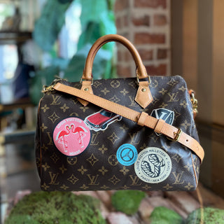 LOUIS VUITTON Monogram World Tour Speedy 30 Bandouliere