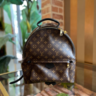 LOUIS VUITTON Palm Springs MM Monogram Canvas Backpack