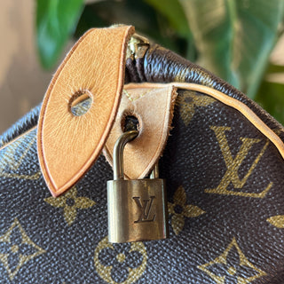 LOUIS VUITTON Speedy 30 Monogram
