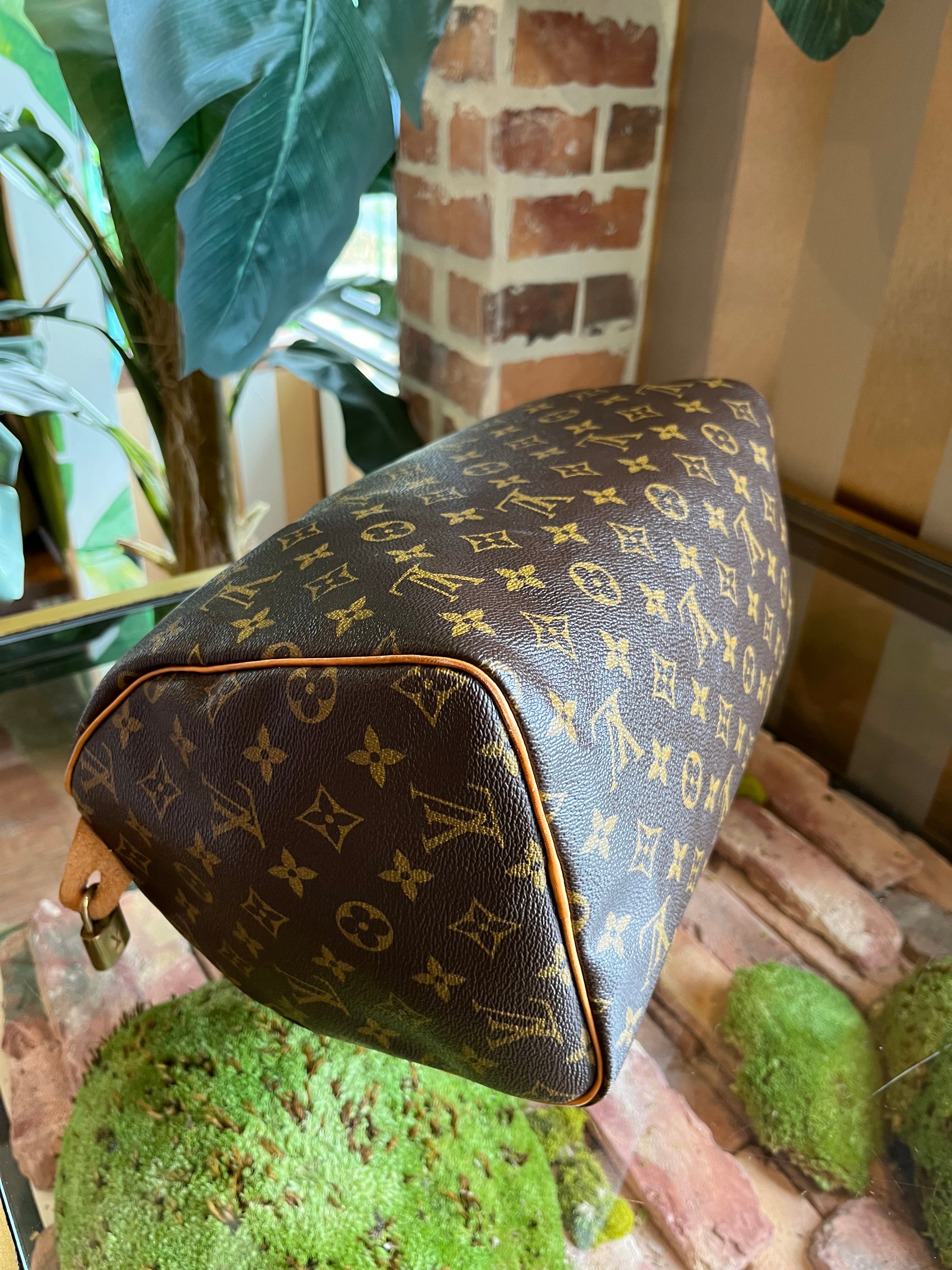 Louis Vuitton fabric speedy  Louis vuitton, Vuitton, Louis