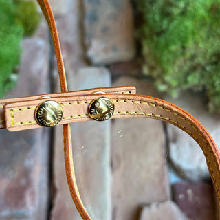 LOUIS VUITTON Twin PM Monogram Canvas Crossbody Bag