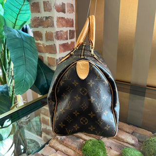 LOUIS VUITTON Speedy Monogram 30