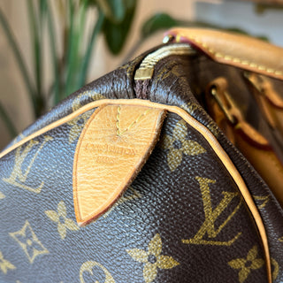 LOUIS VUITTON Speedy 30 Monogram