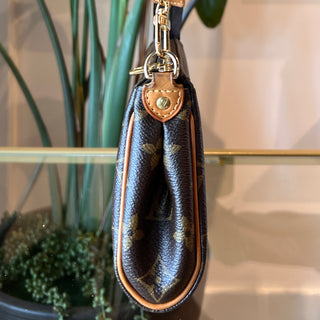 LOUIS VUITTON Monogram Eva Pochette