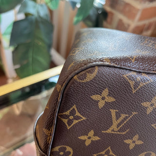 LOUIS VUITTON NéoNoé Brown and Black MM