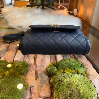 CHANEL In & Out Camera Case Small Quilted Caviar Crossbody Bag