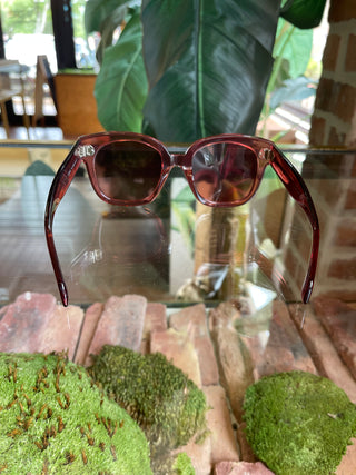 CELINE CL4002UN Burgundy Sunglasses TS3480