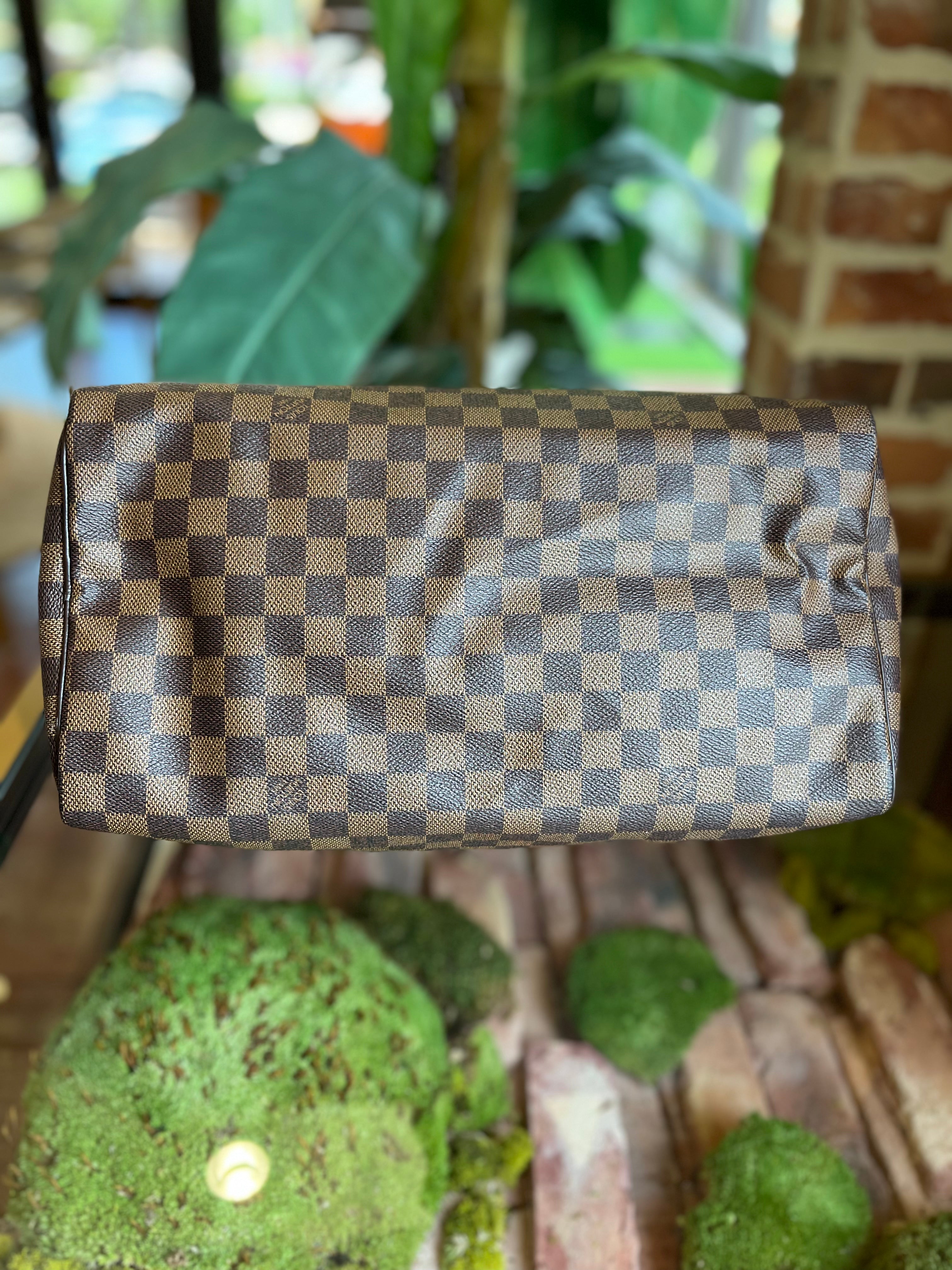 Louis Vuitton Damier Ebene Speedy 35 - The Purse Ladies