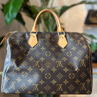 LOUIS VUITTON Speedy 30 Monogram