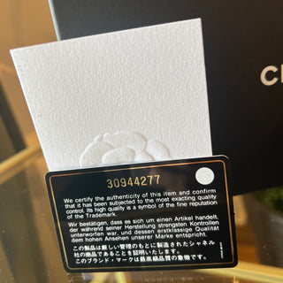 CHANEL Double Zip Clutch