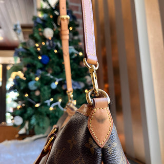 LOUIS VUITTON Palermo PM Monogram Canvas Tote Bag