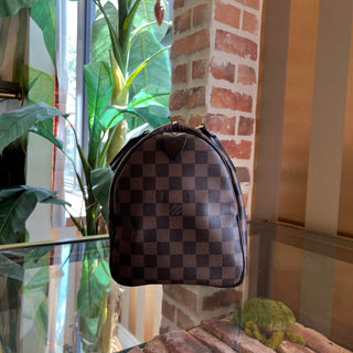 LOUIS VUITTON Speedy 30 Damier Ebene Canvas Satchel
