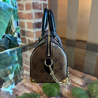 LOUIS VUITTON Speedy Trunk 20