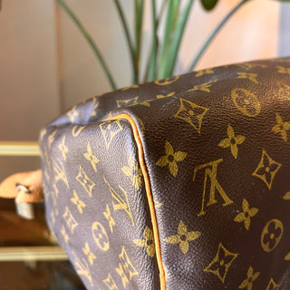 LOUIS VUITTON Speedy 30 Brown Monogram Canvas Satchel