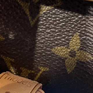 LOUIS VUITTON Diane Vintage Brown Monogram Canvas Crossbody Bag