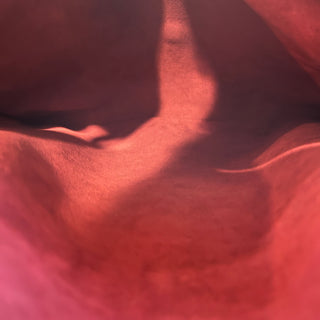 LOUIS VUITTON Twice Monogram Canvas Crossbody