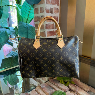 LOUIS VUITTON Speedy Monogram 30