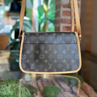 LOUIS VUITTON Diane Vintage Brown Monogram Canvas Crossbody Bag