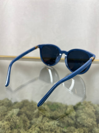 DIOR 30MontiagneMini Blue Acetate Sunglasses TS3749