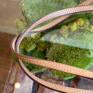 LOUIS VUITTON Neverfull MM Ramages Monogram Canvas Tote