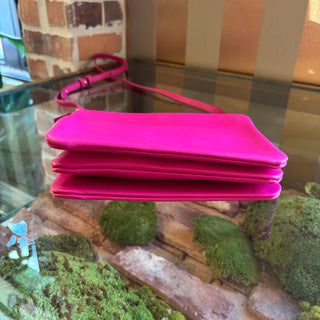 CELINE Pink Leather Trio Small