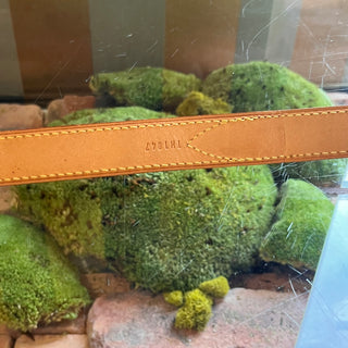 LOUIS VUITTON Baggy PM Monogram Denim Shoulder Bag