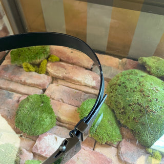 PRADA Black Leather Belt 28/70(4US)