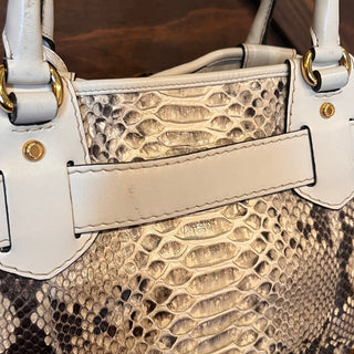 GUCCI Running Large Python GG Tote