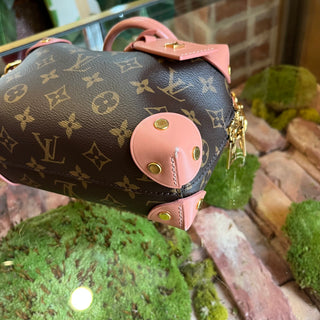 LOUIS VUITTON Monogram Petite Malle Souple Top Handle