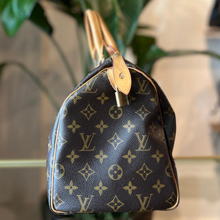 LOUIS VUITTON Speedy 30 Monogram