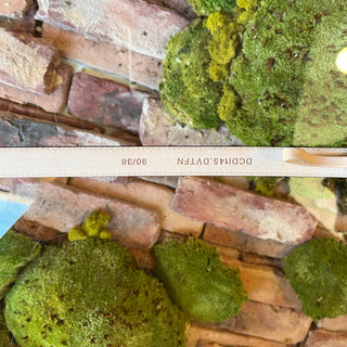 VERSACE Green Medusa Head Monochrome Belt 90/36(L)