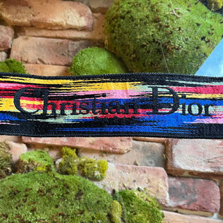DIOR Multicolored Embroidered Floral Strap