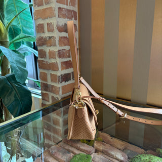 LOUIS VUITTON Noisette Minigram Diane Shoulder Bag