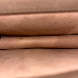 GUCCI Super Mini Dionysus Supreme Canvas Crossbody Bag