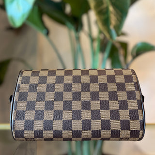 LOUIS VUITTON Damier Ebene Ribera Mini Vintage