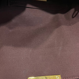 LOUIS VUITTON Favorite PM Monogram Canvas Brown Shoulder Bag
